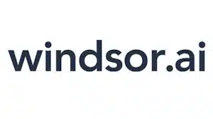 plantillas power bi partner windsor ai